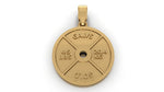 45lbs Plate Pendant